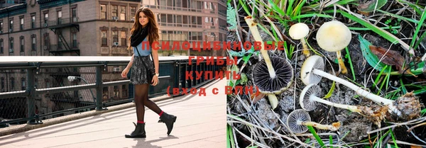 молекула духа Чегем