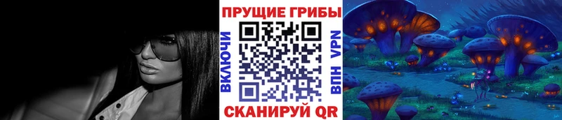 Купить где  Владимир  Галлюциногенные грибы GOLDEN TEACHER 